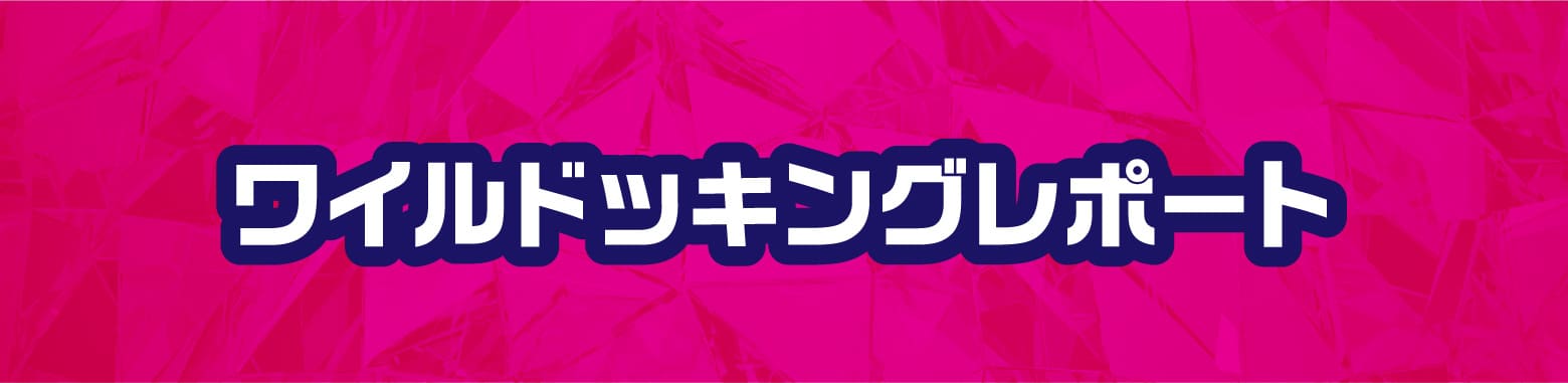 ワイルドッキングレポート
