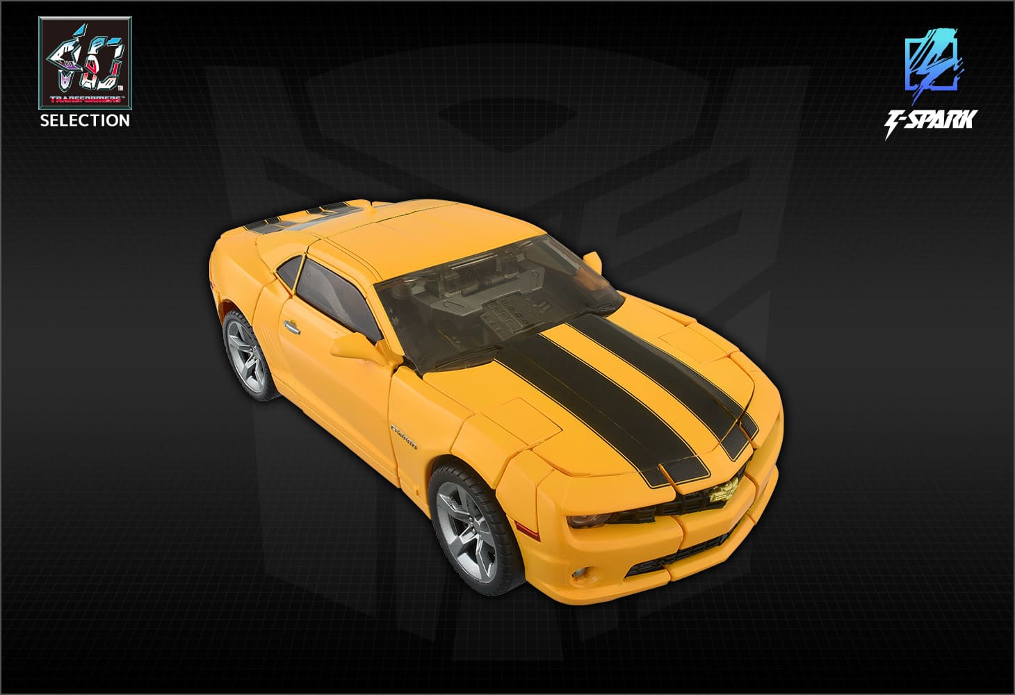 40TH SELECTION バンブルビー