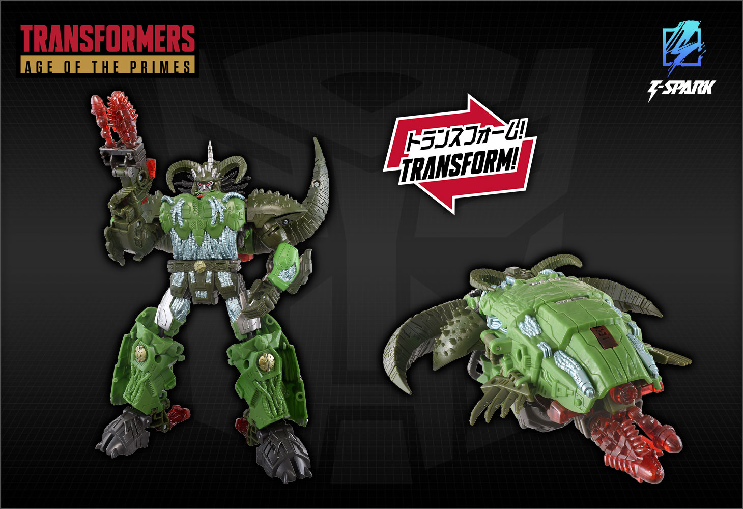 AOTP-42 リージマキシモ