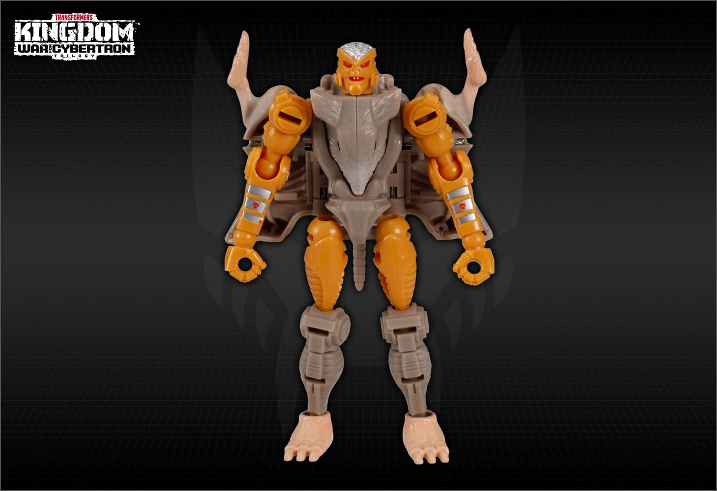 KD-02 ラットトラップ