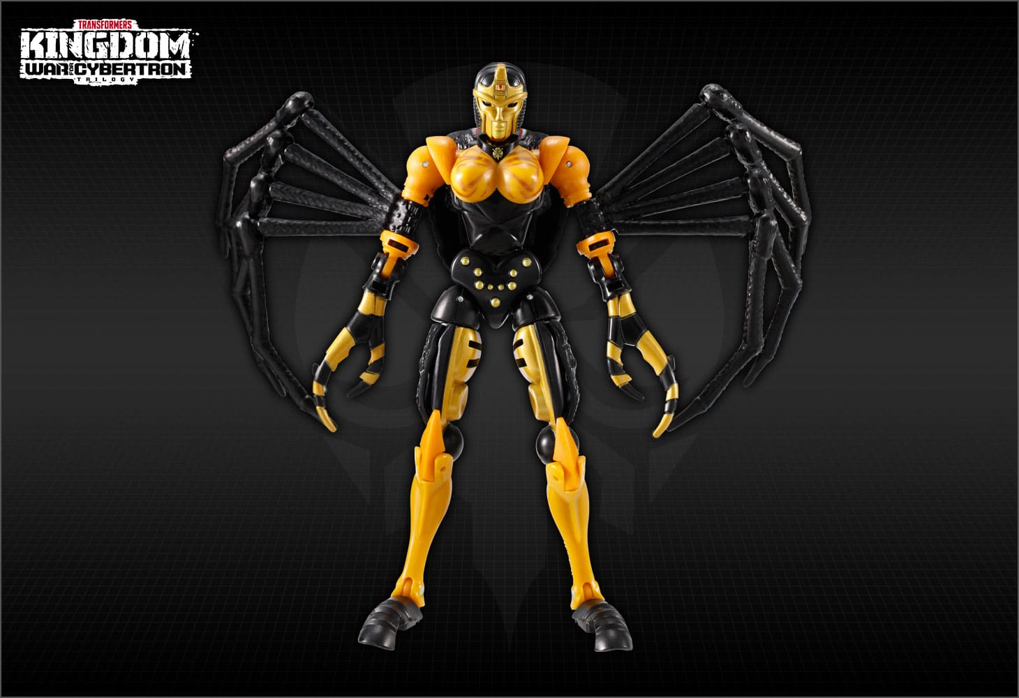 KD-05 ブラックアラクニア