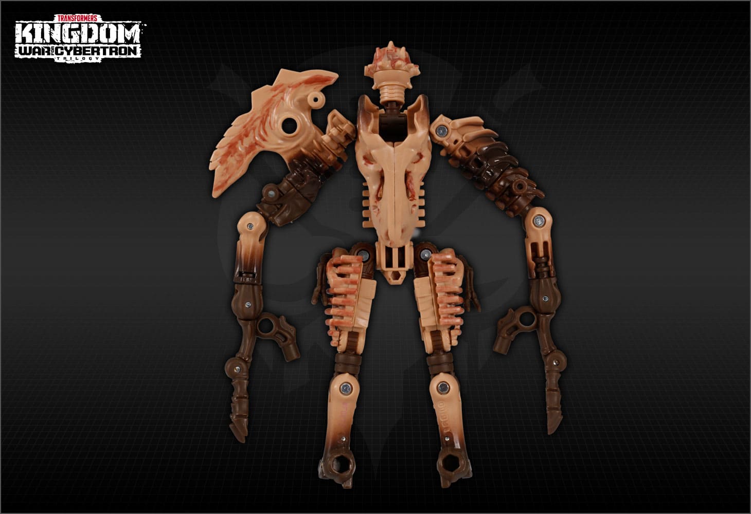 【国内:タカラトミーモール限定】KD EX-01 パレオトレックス