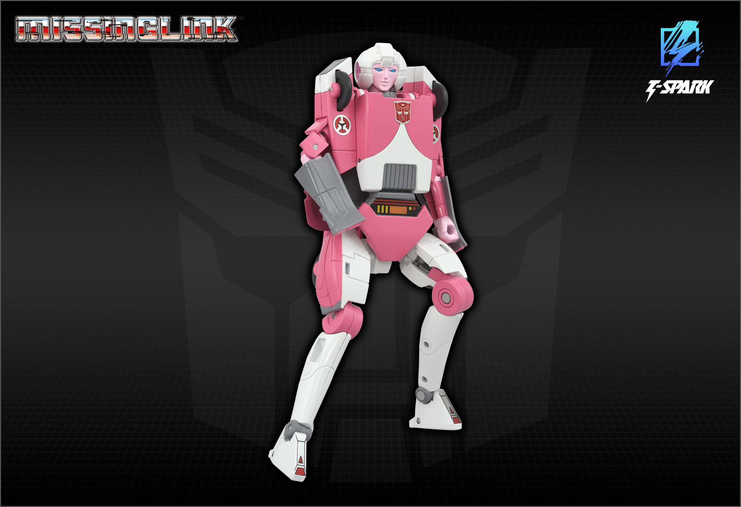 ミッシングリンク C-08 アーシー