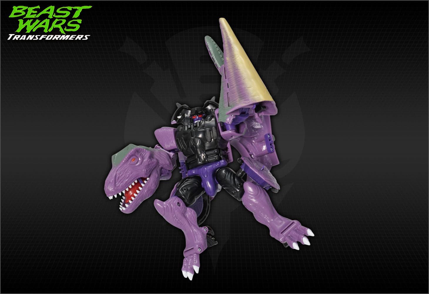 国内：サイバトロンサテライト＆タカラトミーモール限定