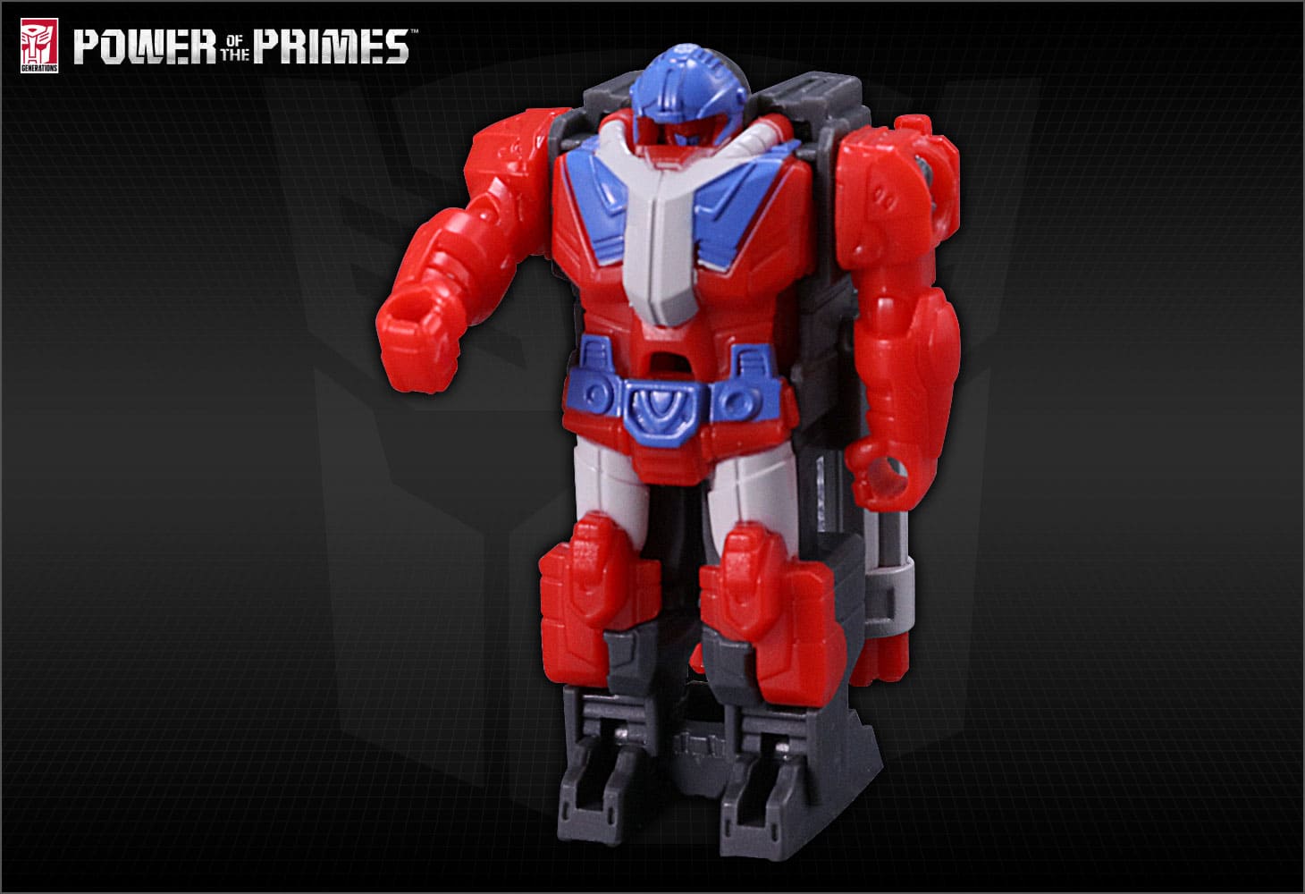 PP-01 マイクロナス