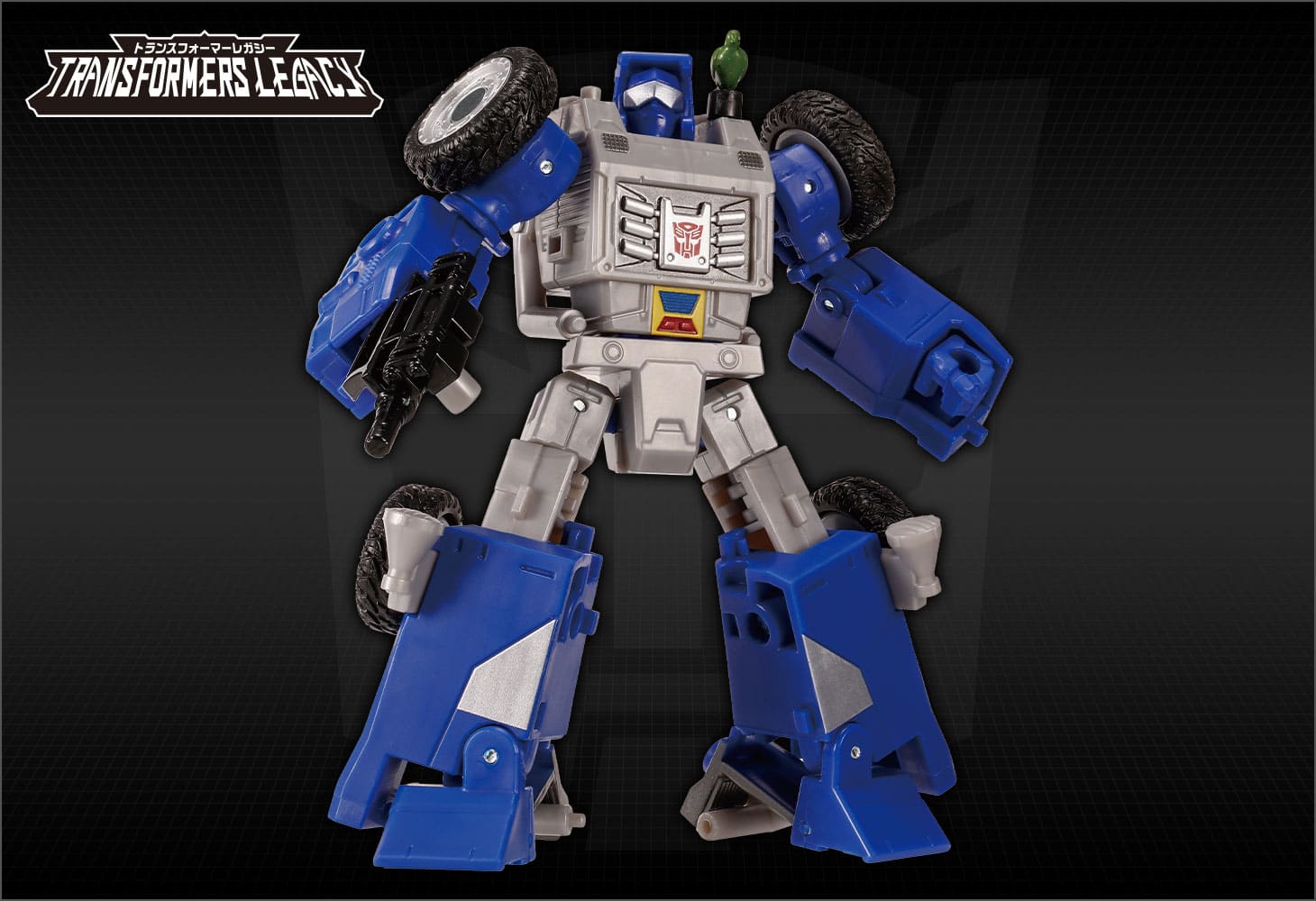 TL-43 ビーチコンバー&パラダイスパラキート