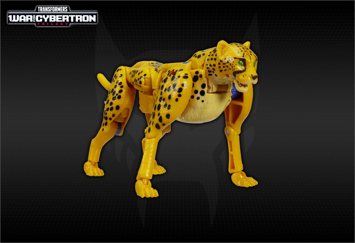 WFC-18　チーター