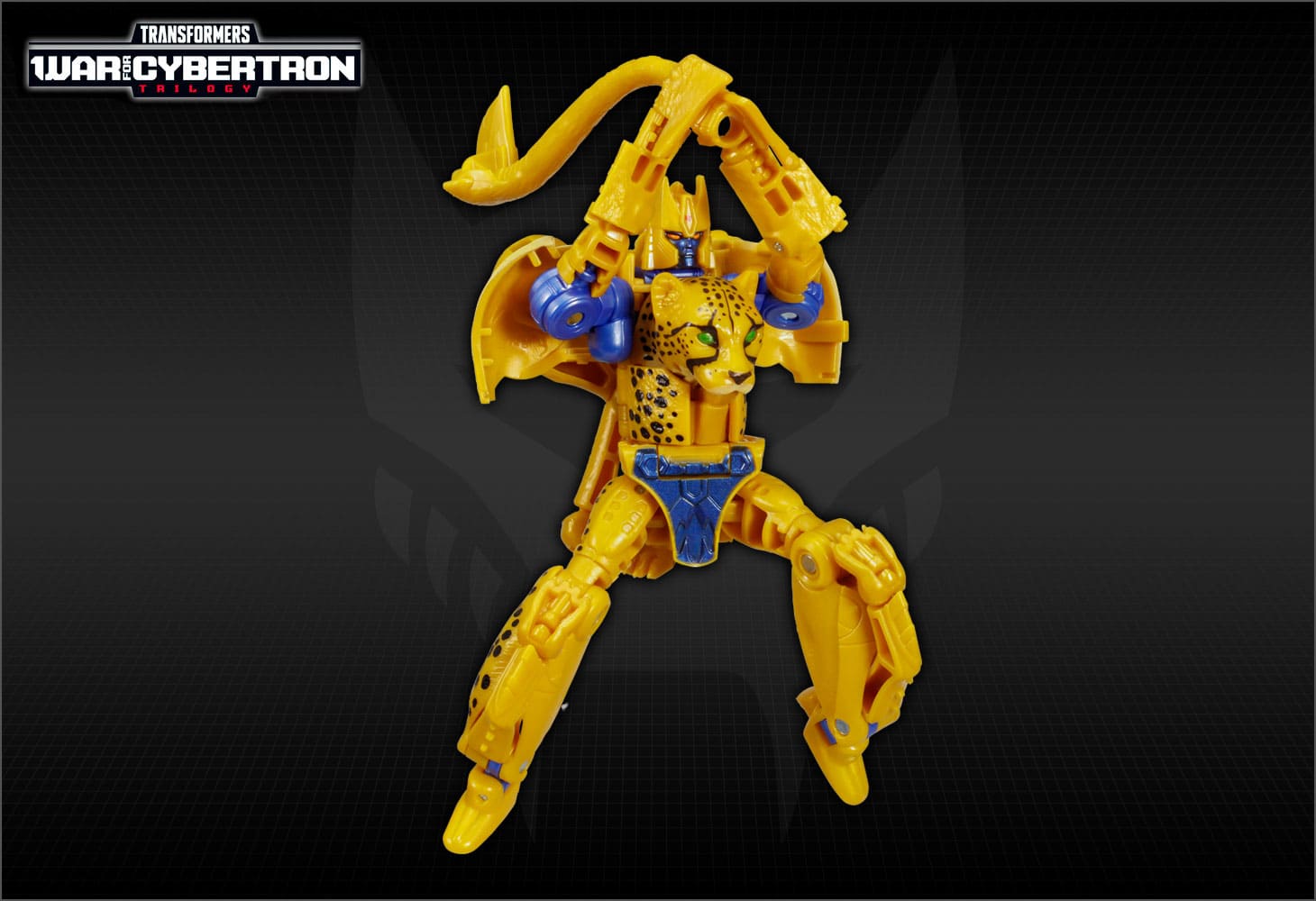 WFC-18　チーター