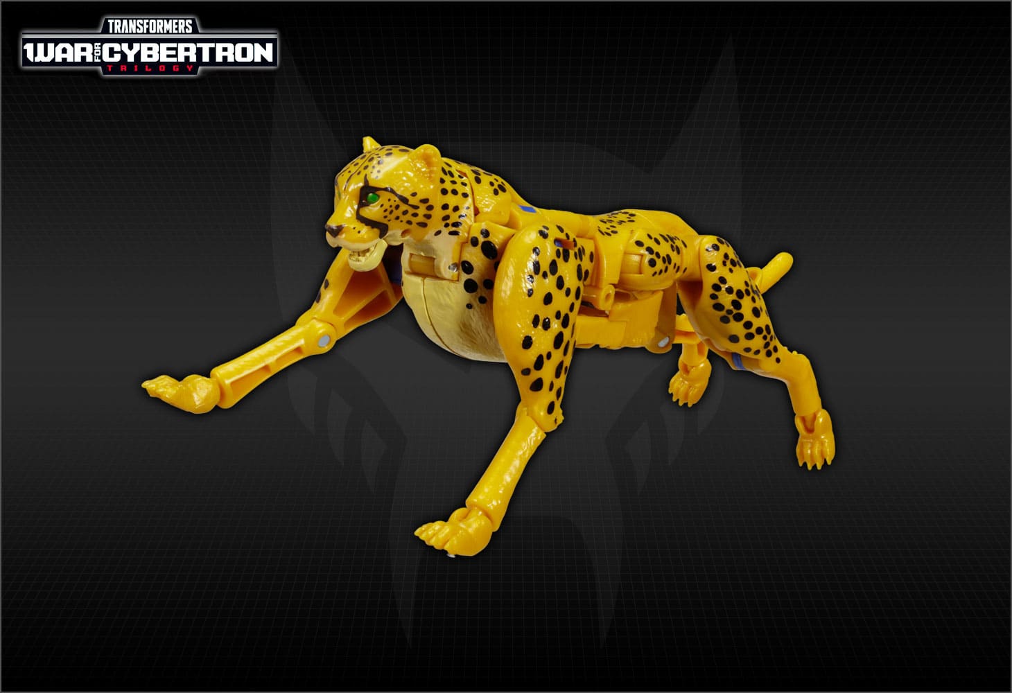 WFC-18　チーター