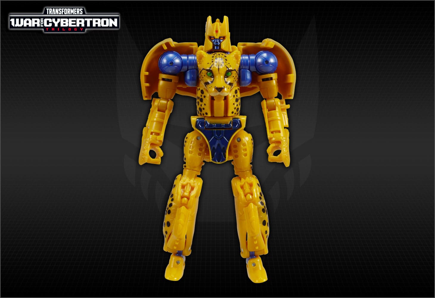 WFC-18　チーター